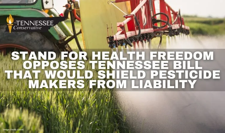 94784e82-5fa2-4db4-bc67-65b3f8d1ee70_752x445