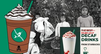Starbucks Faces Class Action Over “Ethical Sourcing” Claims and Chemicals