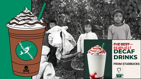 Starbucks Faces Class Action Over “Ethical Sourcing” Claims and Chemicals