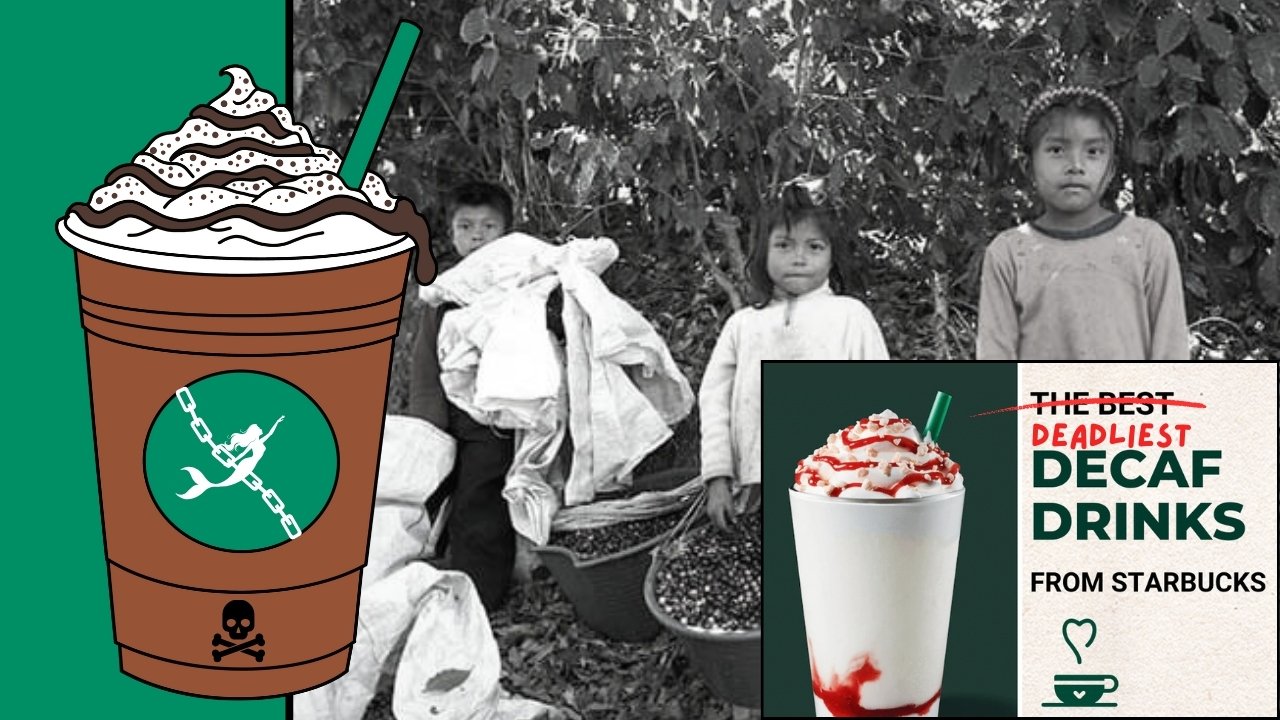 Starbucks Faces Class Action Over “Ethical Sourcing” Claims and Chemicals