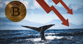 Bitcoin’s Sharp Drop Is Classic Whale Manipulation, Not the End of the Story