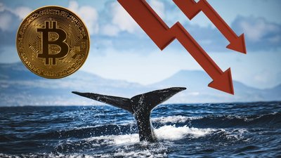 Bitcoin’s Sharp Drop Is Classic Whale Manipulation, Not the End of the Story