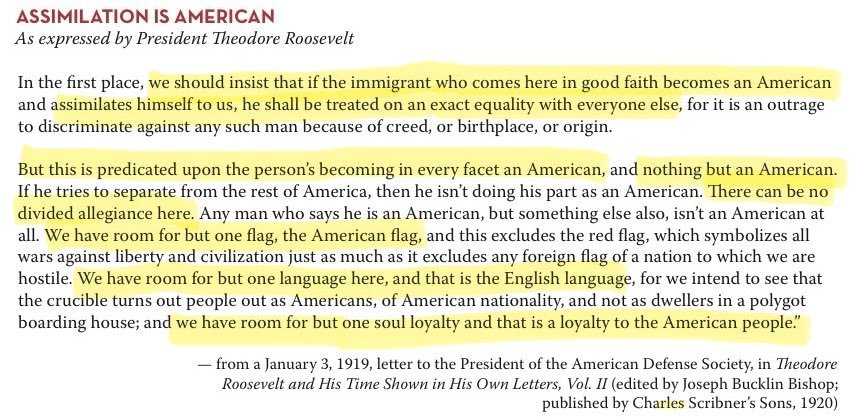 Roosevelt's Letter on Assimilation into American Culture and Loyalty to the Nation