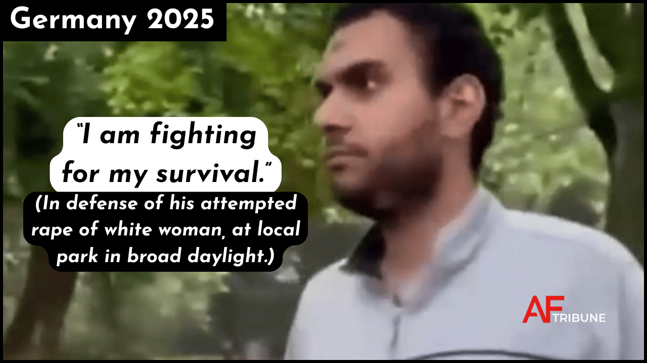 A Pakistani Muslim confronted immediately after trying to rape a woman in broad daylight in a park in Germy.