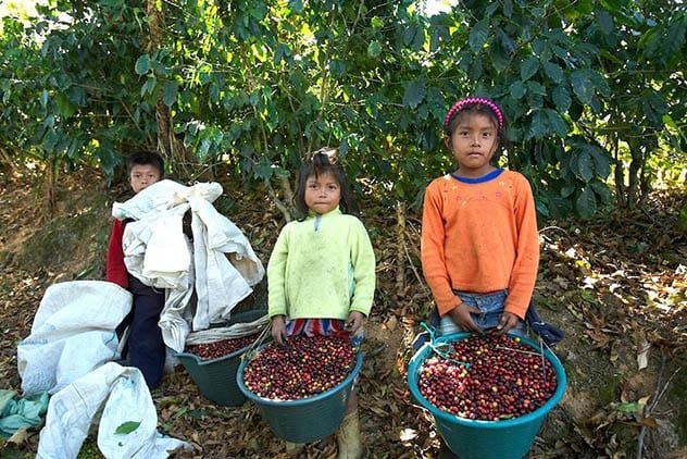 cad96a6d-31a4-4226-a6bd-ac3d63b17177