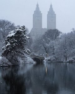 central-park-1-240x300