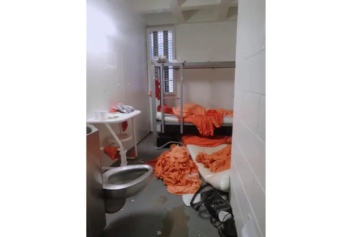 Epstein's cell