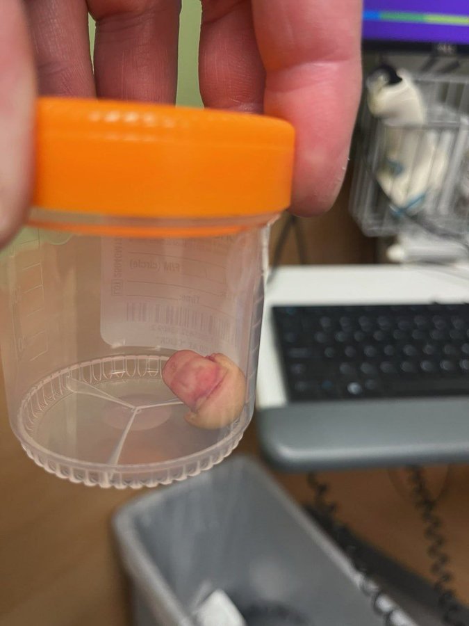 photo_2026-01-24_16-02-18