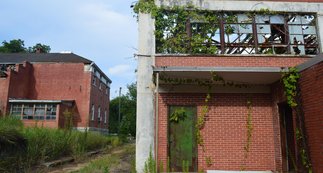 America Is Choosing Collapse: Fewer Children, Fewer Workers, and a Future We May Not Survive