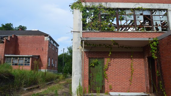 America Is Choosing Collapse: Fewer Children, Fewer Workers, and a Future We May Not Survive